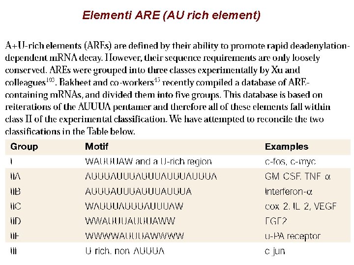 Elementi ARE (AU rich element) 