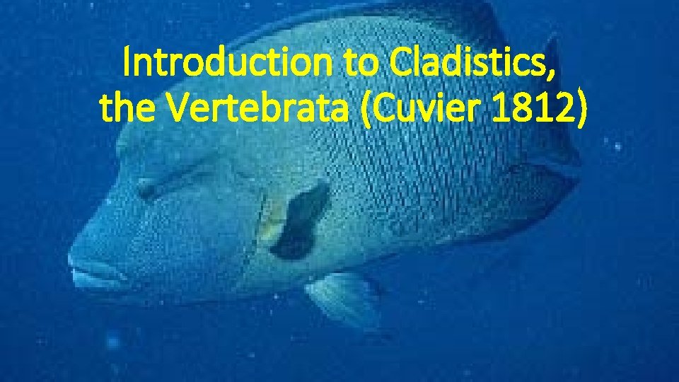 Introduction to Cladistics, the Vertebrata (Cuvier 1812) 