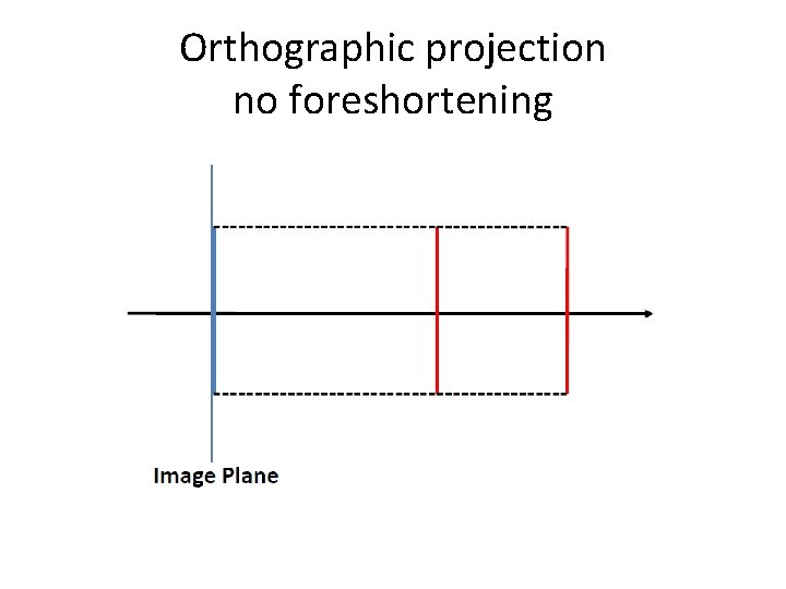 Orthographic projection no foreshortening 