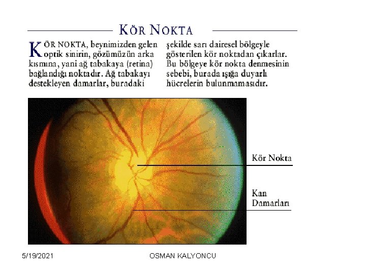 5/19/2021 OSMAN KALYONCU 