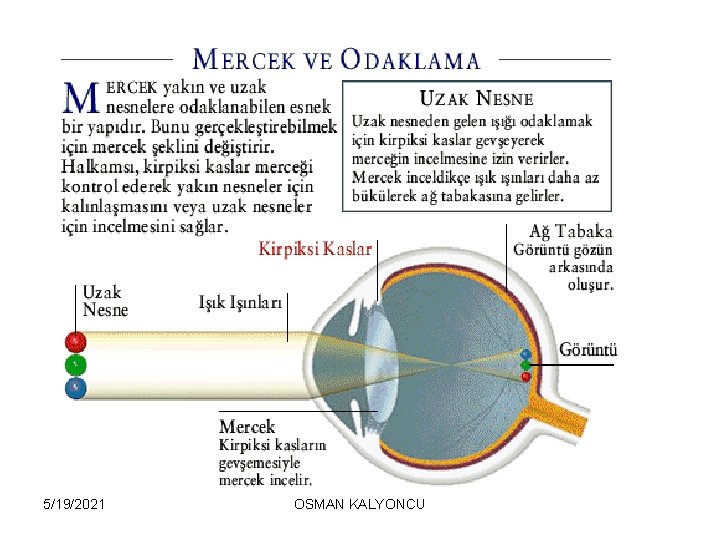 5/19/2021 OSMAN KALYONCU 