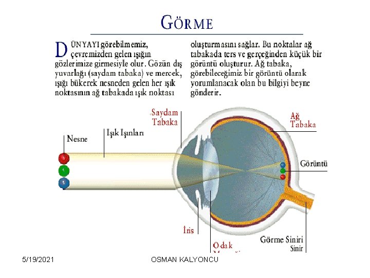 5/19/2021 OSMAN KALYONCU 