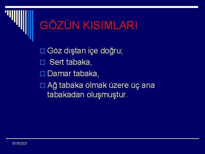 GÖZÜN KISIMLARI o Göz dıştan içe doğru; o Sert tabaka, o Damar tabaka, o