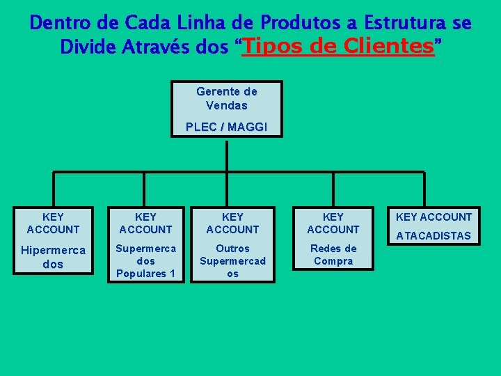 Dentro de Cada Linha de Produtos a Estrutura se Divide Através dos “Tipos de