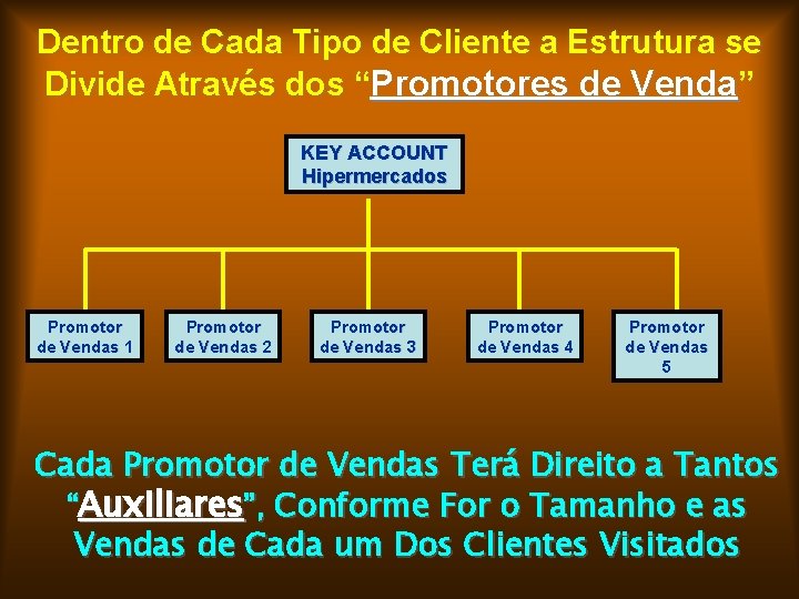 Dentro de Cada Tipo de Cliente a Estrutura se Divide Através dos “Promotores de