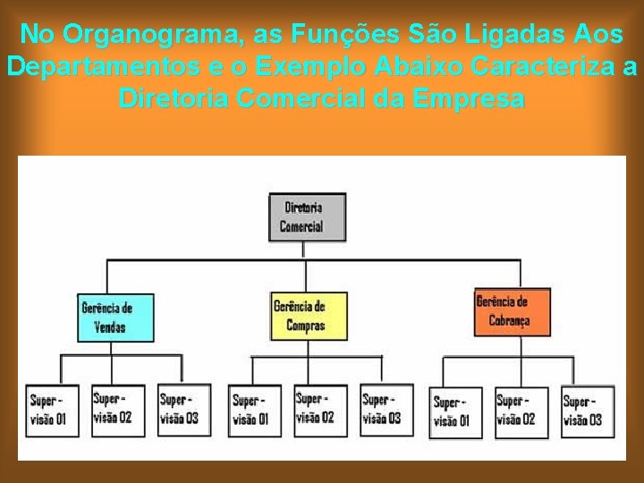 No Organograma, as Funções São Ligadas Aos Departamentos e o Exemplo Abaixo Caracteriza a