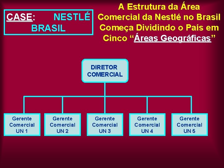A Estrutura da Área CASE: NESTLÉ Comercial da Nestlé no Brasil Começa Dividindo o