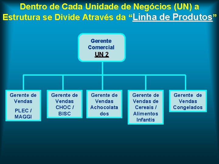 Dentro de Cada Unidade de Negócios (UN) a Estrutura se Divide Através da “Linha