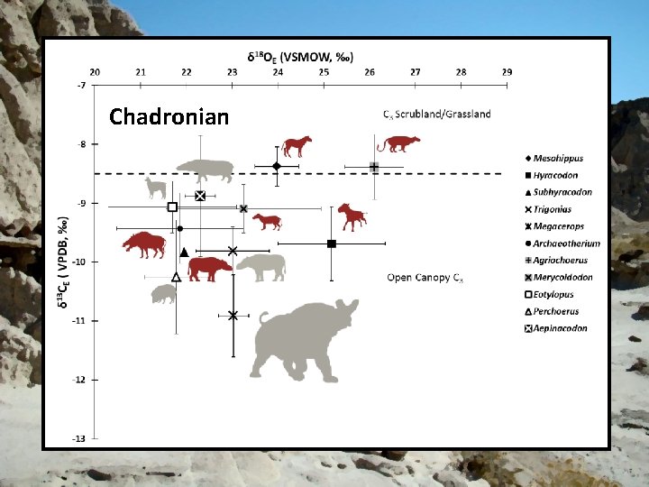 Chadronian 