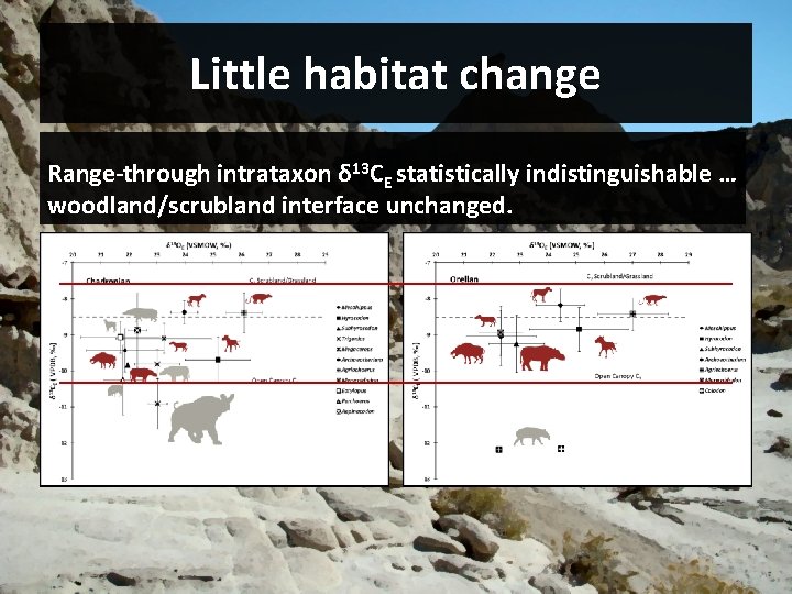 Little habitat change Range-through intrataxon δ 13 CE statistically indistinguishable … woodland/scrubland interface unchanged.