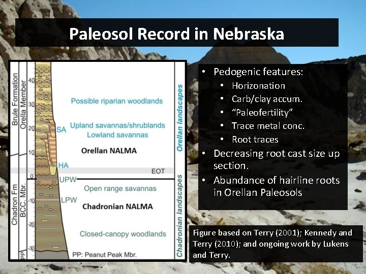 Paleosol Record in Nebraska • Pedogenic features: • • • Horizonation Carb/clay accum. “Paleofertility”