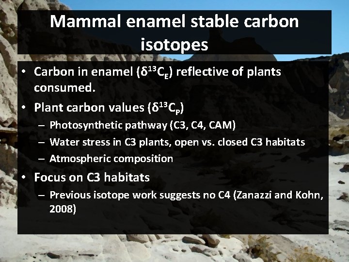 Mammal enamel stable carbon isotopes • Carbon in enamel (δ 13 CE) reflective of