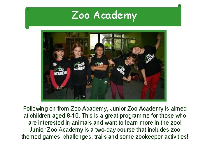 Zoo Academy Following on from Zoo Academy, Junior Zoo Academy is aimed at children