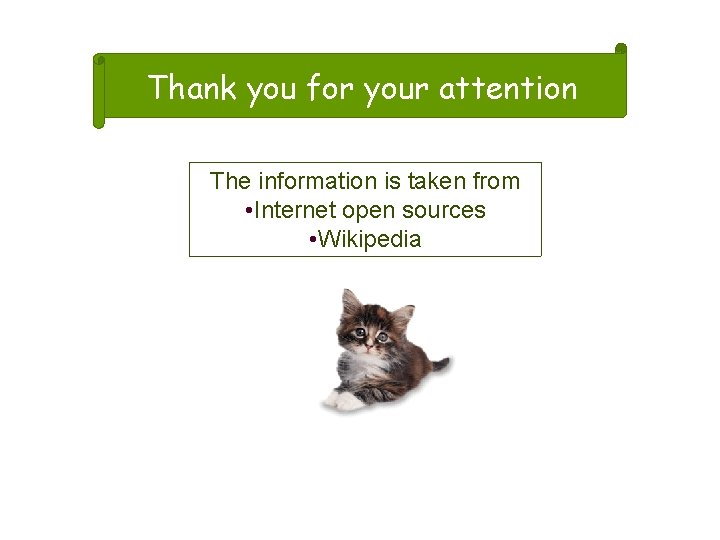 Thank you for your attention The information is taken from • Internet open sources