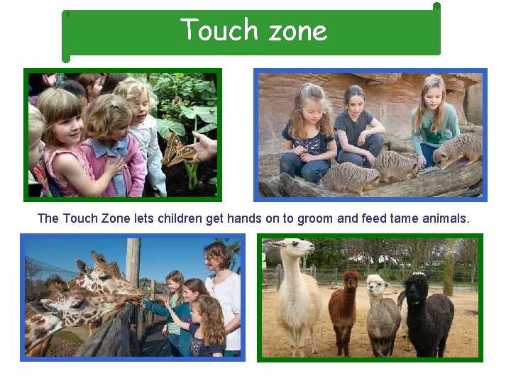 Touch zone The Touch Zone lets children get hands on to groom and feed