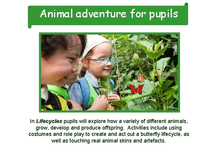 Animal adventure for pupils In Lifecycles pupils will explore how a variety of different
