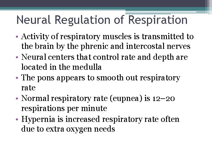 Neural Regulation of Respiration • Activity of respiratory muscles is transmitted to the brain