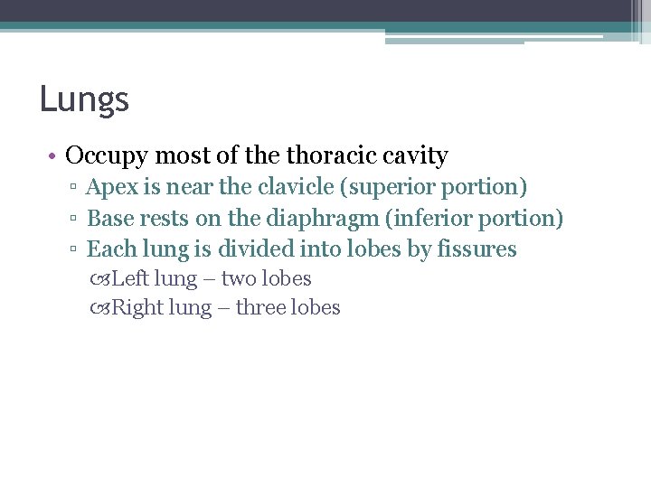 Lungs • Occupy most of the thoracic cavity ▫ Apex is near the clavicle