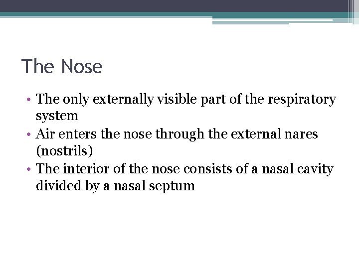 The Nose • The only externally visible part of the respiratory system • Air