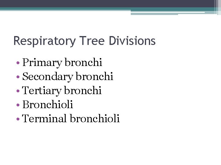 Respiratory Tree Divisions • Primary bronchi • Secondary bronchi • Tertiary bronchi • Bronchioli