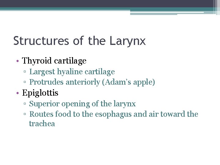 Structures of the Larynx • Thyroid cartilage ▫ Largest hyaline cartilage ▫ Protrudes anteriorly