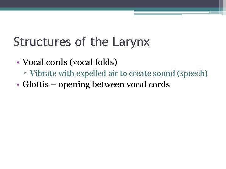 Structures of the Larynx • Vocal cords (vocal folds) ▫ Vibrate with expelled air
