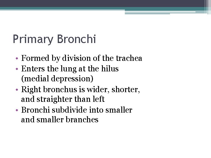 Primary Bronchi • Formed by division of the trachea • Enters the lung at