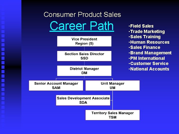 Consumer Product Sales Career Path • Field Sales • Trade Marketing • Sales Training