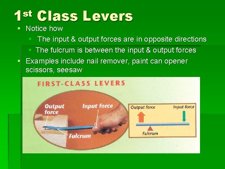 1 st Class Levers § Notice how § The input & output forces are