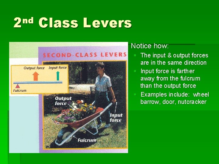 2 nd Class Levers § Notice how: § The input & output forces are