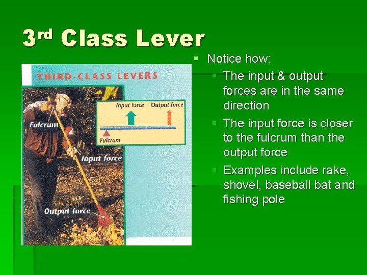 3 rd Class Lever § Notice how: § The input & output forces are