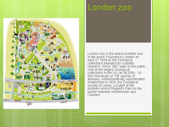 London zoo is the oldest scientific zoo in the world. Founded in London on London zoo is the oldest scientific zoo in the world. Founded in London on