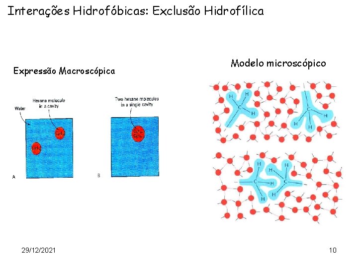 Interações Hidrofóbicas: Exclusão Hidrofílica Expressão Macroscópica 29/12/2021 Modelo microscópico 10 