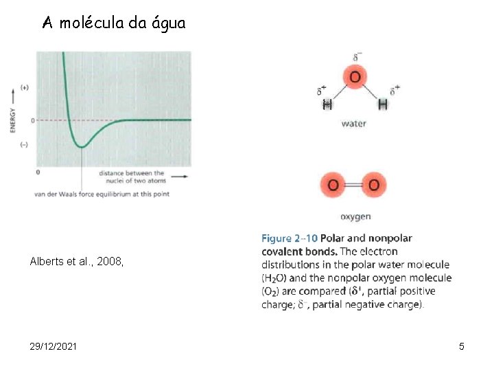 A molécula da água Alberts et al. , 2008, 29/12/2021 5 