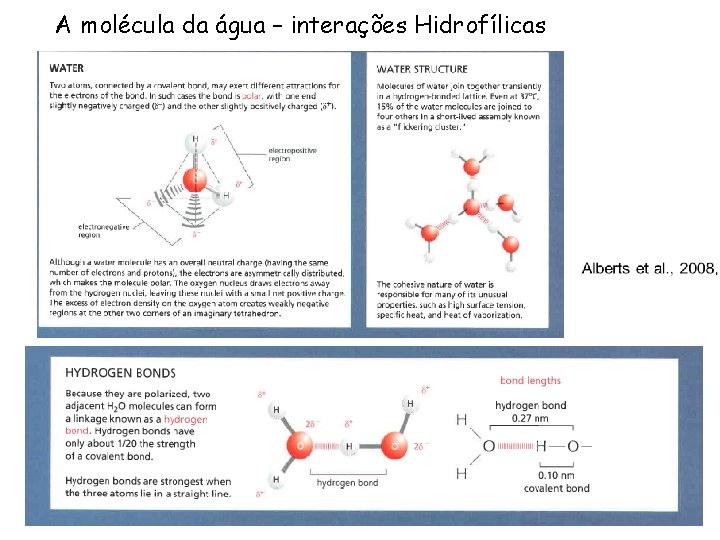 A molécula da água – interações Hidrofílicas 29/12/2021 Físico-química 7 