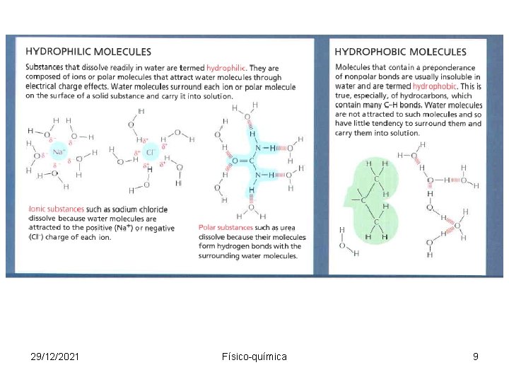 29/12/2021 Físico-química 9 