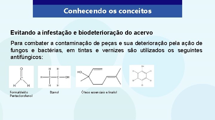 Conhecendo os conceitos Evitando a infestação e biodeterioração do acervo Para combater a contaminação