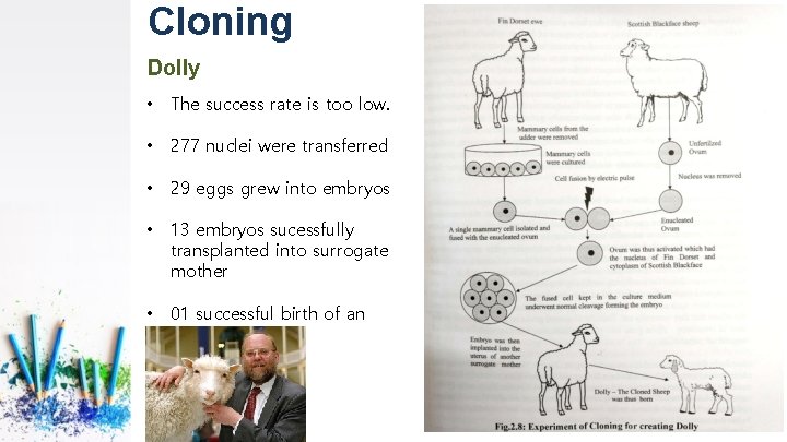 Cloning Dolly • The success rate is too low. • 277 nuclei were transferred