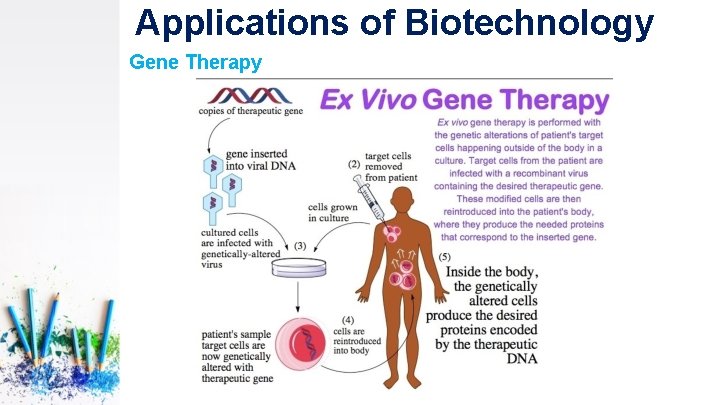 Applications of Biotechnology Gene Therapy 