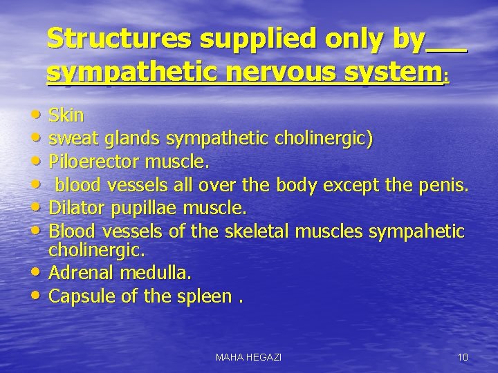 Structures supplied only by sympathetic nervous system: • Skin • sweat glands sympathetic cholinergic)