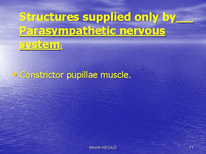 Structures supplied only by Parasympathetic nervous system: • Constrictor pupillae muscle. MAHA HEGAZI 11