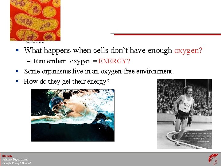 § What happens when cells don’t have enough oxygen? – Remember: oxygen = ENERGY?