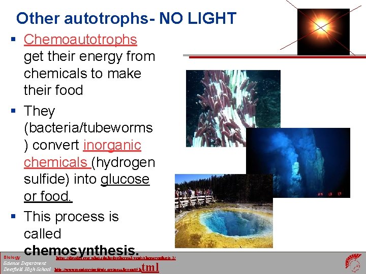 Other autotrophs- NO LIGHT § Chemoautotrophs get their energy from chemicals to make their