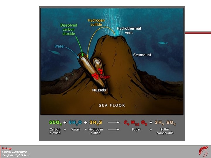 Biology Science Department Deerfield High School 