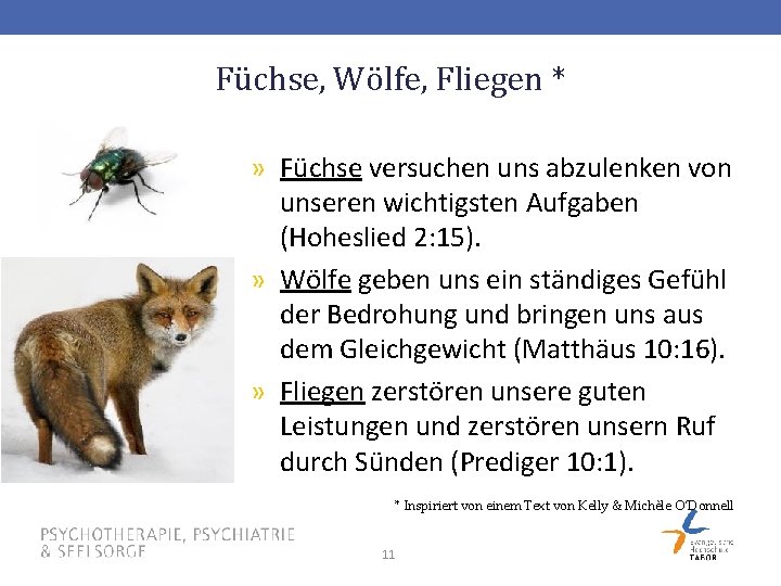 Füchse, Wölfe, Fliegen * » Füchse versuchen uns abzulenken von unseren wichtigsten Aufgaben (Hoheslied