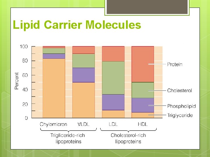 Lipid Carrier Molecules Lipid Carrier Molecules