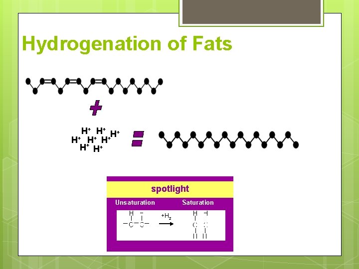 Hydrogenation of Fats H+ H+ spotlight Unsaturation Saturation +H 2 Hydrogenation of Fats H+ H+ spotlight Unsaturation Saturation +H 2