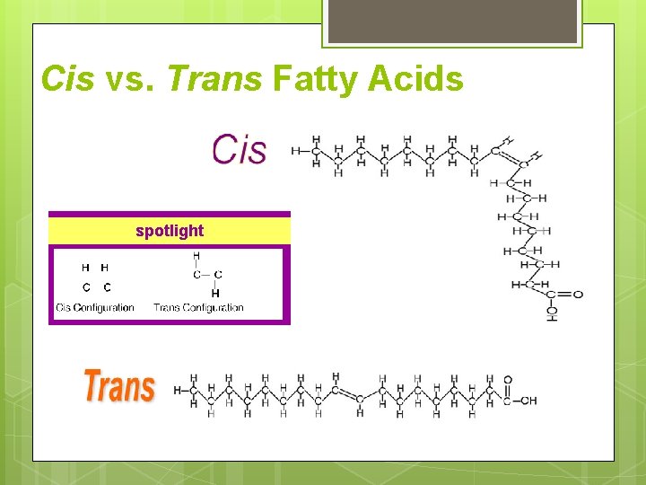 Cis vs. Trans Fatty Acids spotlight Cis vs. Trans Fatty Acids spotlight