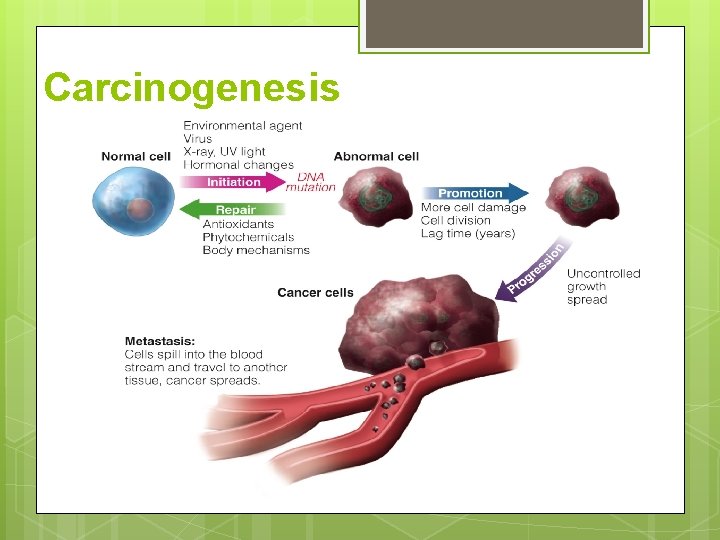 Carcinogenesis Carcinogenesis