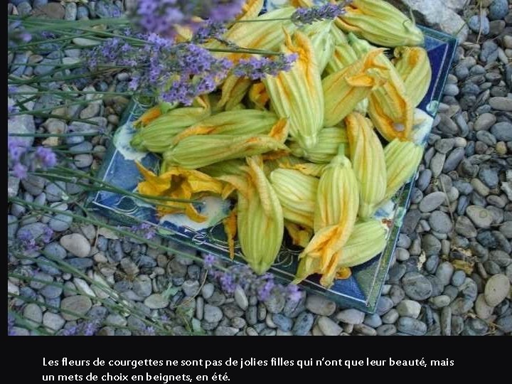 Les fleurs de courgettes ne sont pas de jolies filles qui n’ont que leur